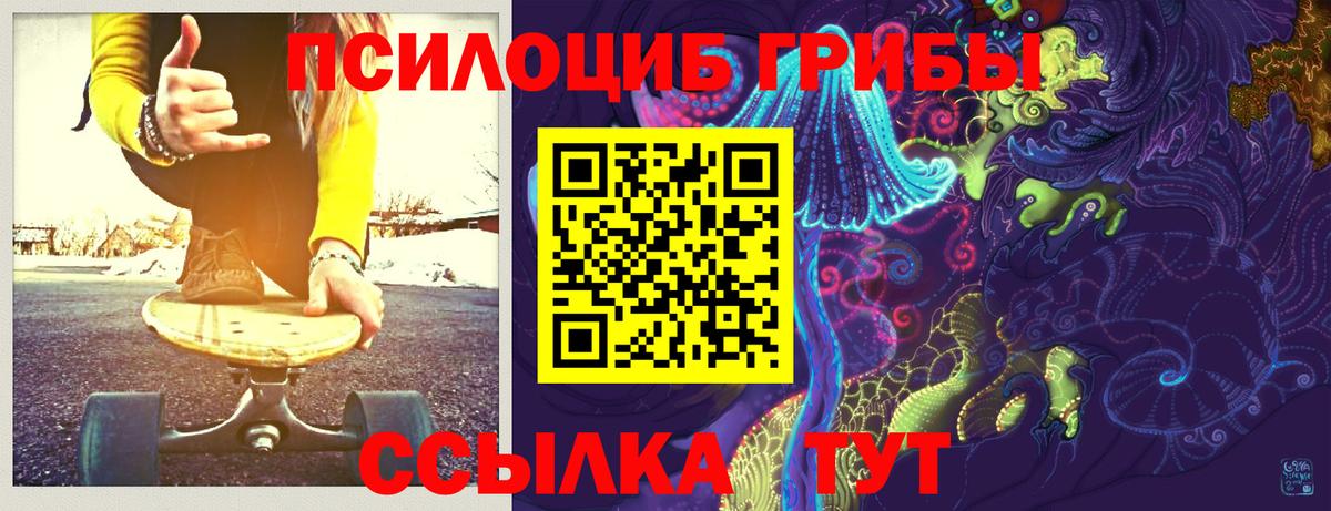 что такое наркотик  Псилоцибиновые грибы Psilocybine cubensis  Вход с VPN  Кинель 